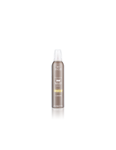 HAIR COMPANY PROFESSIONAL STYLING FOAM 250 ML