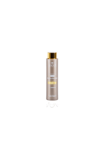 HAIR COMPANY PROFESSIONAL MASKA POST TREATMENT 250ML